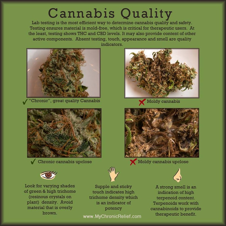 medicalcannabisqualitytests