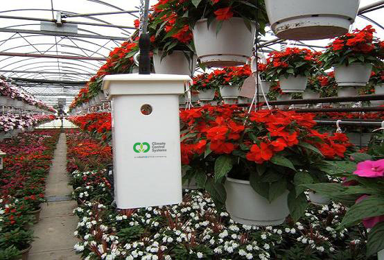 Greenhouse Automation for Flower Growers