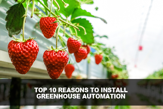 Greenhouse Automation Systems