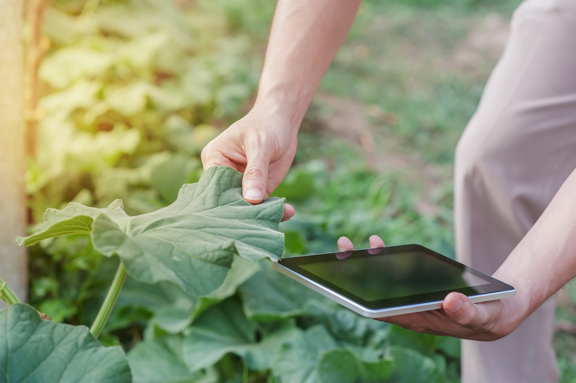 increase plant resilience