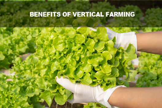 Benefits Of Vertical Farming